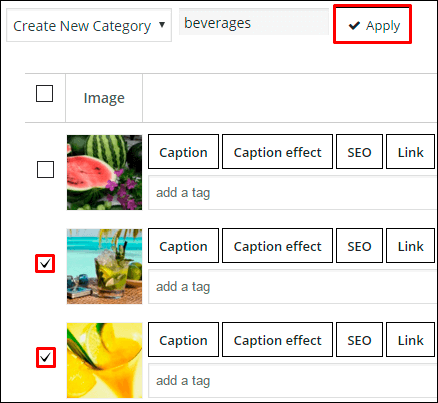 Add category in WordPress Gallery plugin Add category in WordPress Gallery plugin