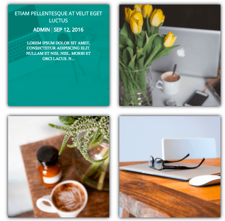 Posts on Photo Gallery plugin Posts on Photo Gallery plugin