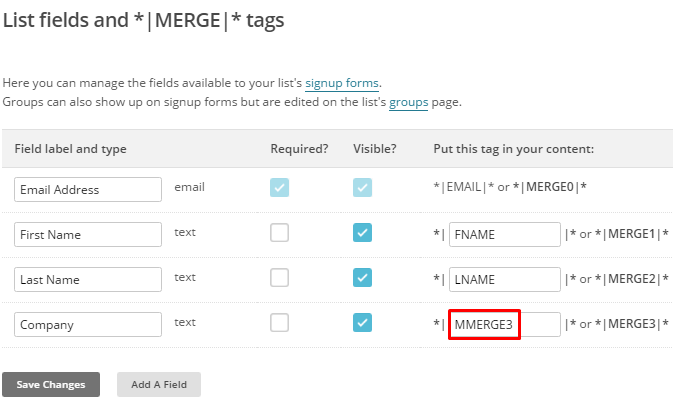 Insert field name and copy its tag MailChimp