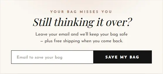 Cart Recovery Boutique Bag form template