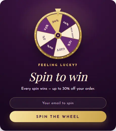 Spin and Win Fortune Wheel form template