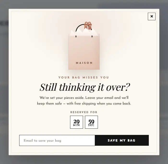 Cart Recovery Boutique Bag popup template
