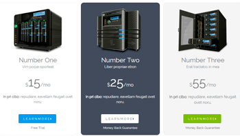 Server Hosting Price Table 