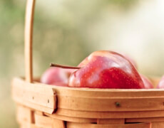 applesbasket