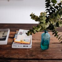 gallery photo 14