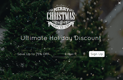 Popup - Holiday Discount