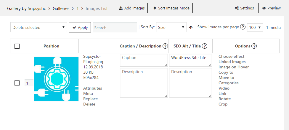 Images List tab of the WP Gallery plugin by Supsystic