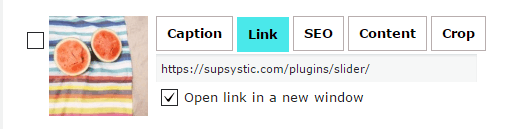 Supsystic Slider Media Link