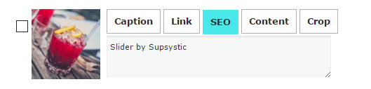 Supsystic Slider Media SEO