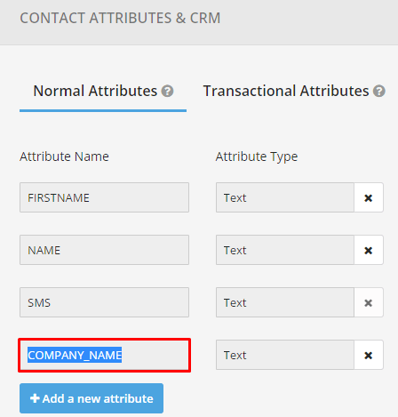 Copy attribute name