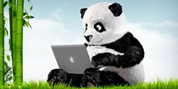 tinypng service