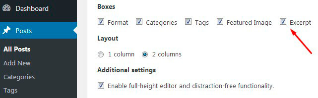 Newsletter plugin Excerpt option