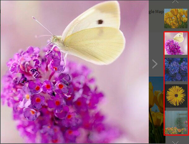 PhotoGallery Linked images option