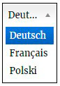 Translate plugin-display type4