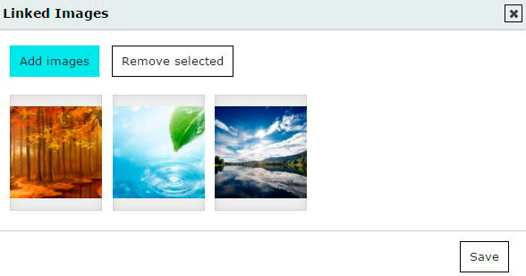 Gallery-Linked-Images-editor