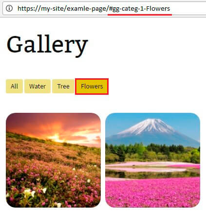 Gallery with code of category