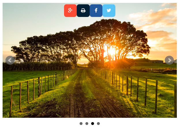 Social Share buttons with Slider