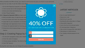 Winter Subscribe Wordpress Popup