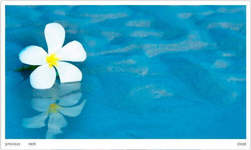 Example-photo-with-Caption-hide