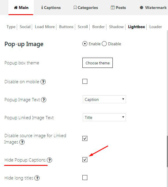 Hide-Popup-caption-option-of-Gallery