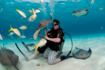 Nice Underwater Pets