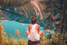 Wild View