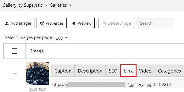 Insert Link to Gallery Properties