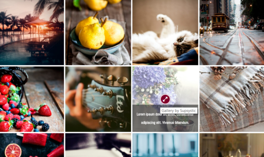 WordPress Gallery - Captions+Icons