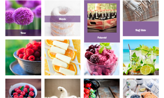 WordPress Gallery - Personal Caption Effects