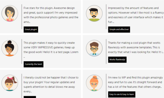 WordPress Gallery - Post Feed Description