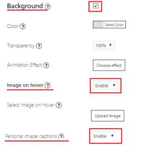 Two-side images gallery - Ultimate WordPress Plugins by Supsystic