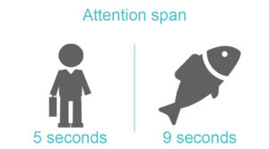 attention-span