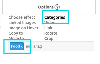 food category